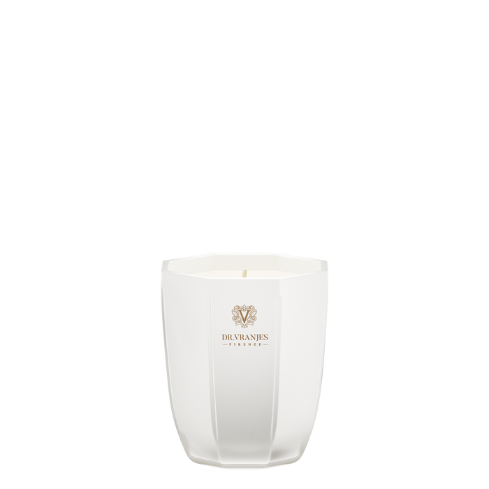 Candle Pearl Ginger Lime – Dr. Vranjes Firenze HK